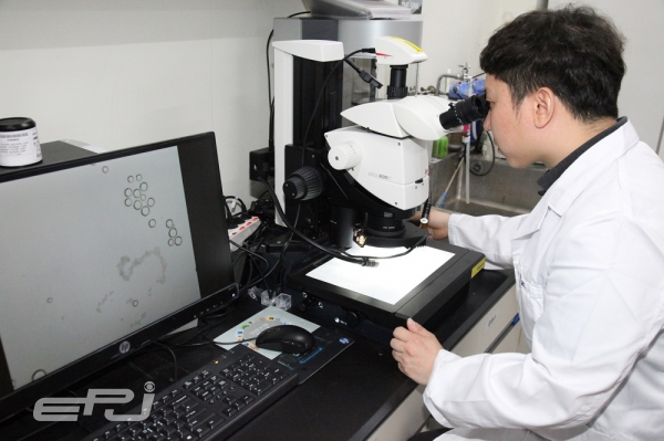 연구를 주도한 박찬우 박사가 미세수중로봇을 현미경으로 확인하고 있다.