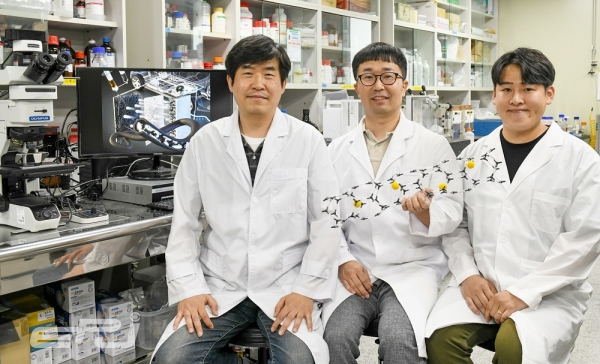 전기연구원은 리튬금속전지용 고효율 리튬저장 기술을 개발했다. 이상민 박사(왼쪽), 김병곤박사(가운데), 강동우 연구원(오른쪽).